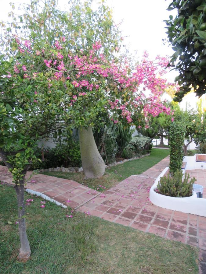 Apartamento Bien Situado En Marbella Buitenkant foto