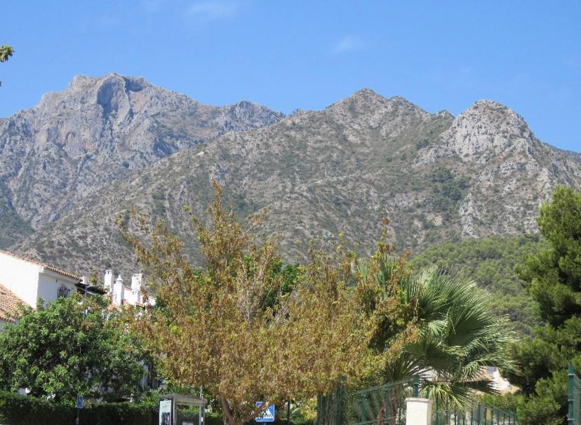 Apartamento Bien Situado En Marbella Buitenkant foto